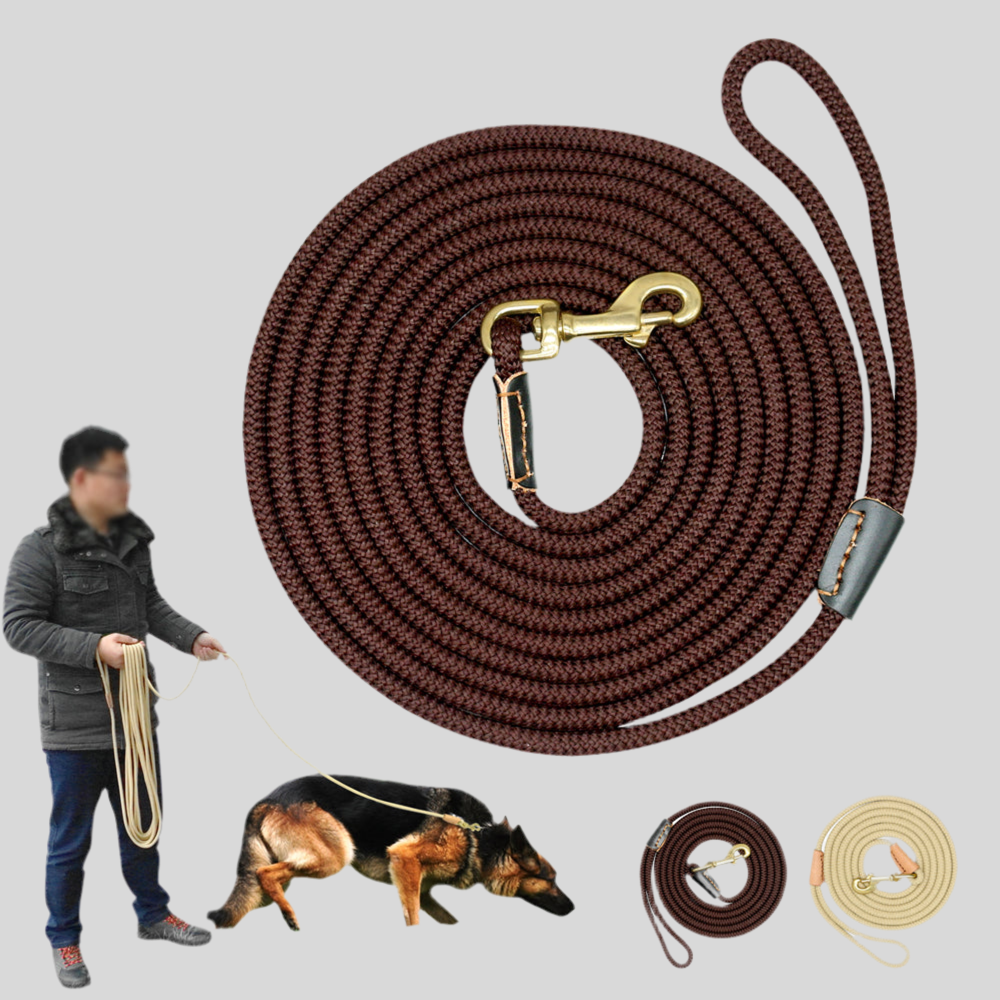 Dog Training Belt