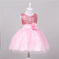 Baby Sequin Dress Flower Girl Wedding Princess Dress