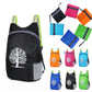 Compact Foldable Kids’ Backpack