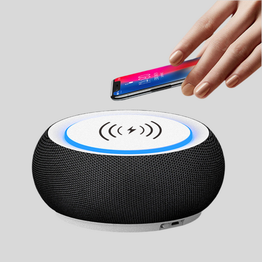 Wireless Bluetooth Speaker with Loud Volume and Dual Subwoofer