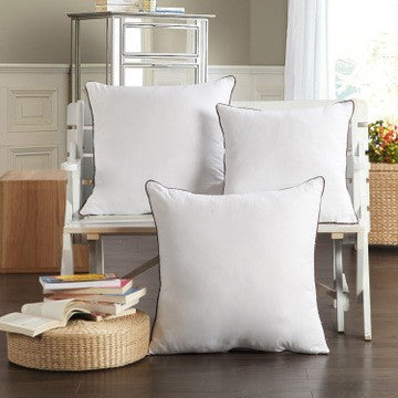 1pc Brushed Pillow Core