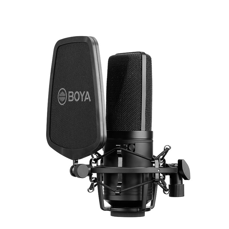 Large Diaphragm Condenser Microphone for K-Song and Computer Use