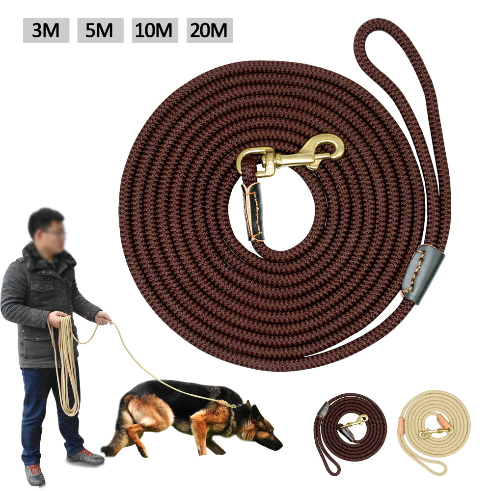 Dog Training Belt