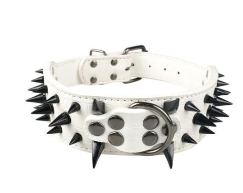 IronPaw Spike Leather Collar