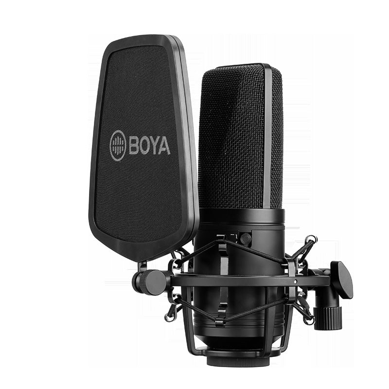 Large Diaphragm Condenser Microphone for K-Song and Computer Use