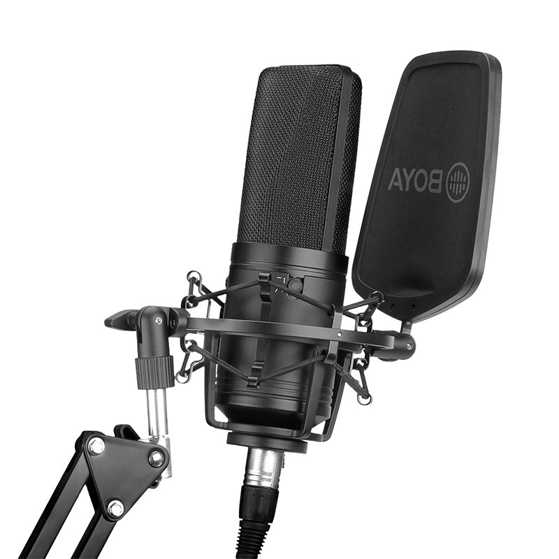 Large Diaphragm Condenser Microphone for K-Song and Computer Use