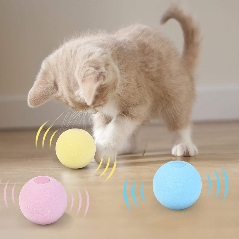 Chase-nip Interactive Ball