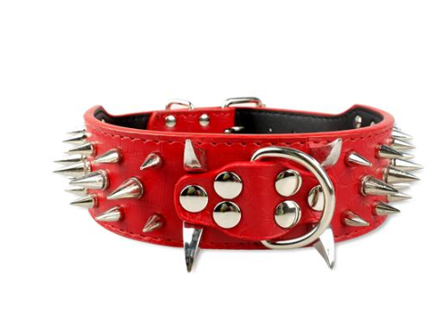 IronPaw Spike Leather Collar