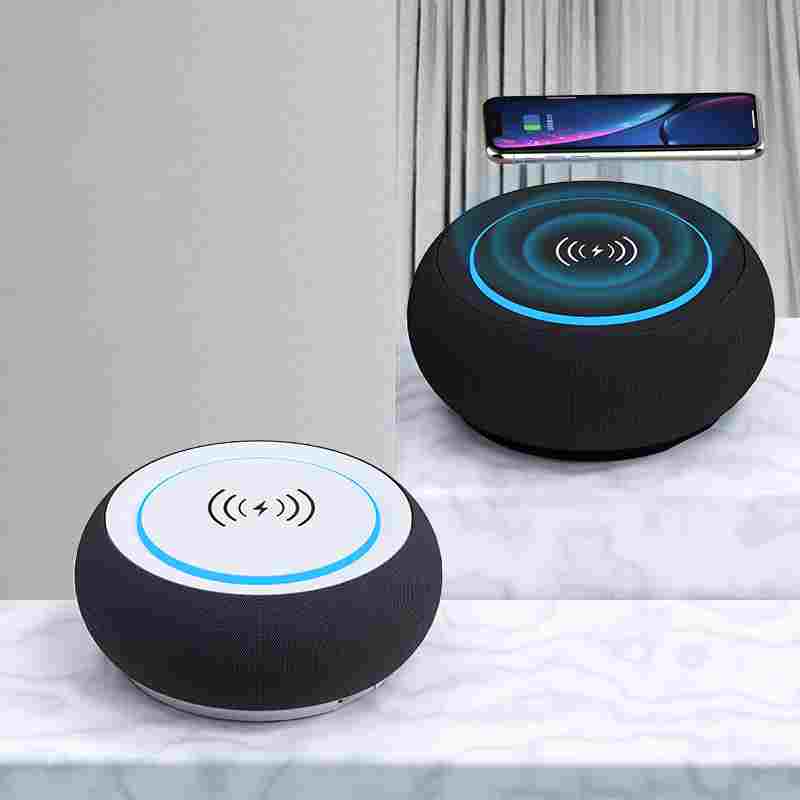 Wireless Bluetooth Speaker with Loud Volume and Dual Subwoofer