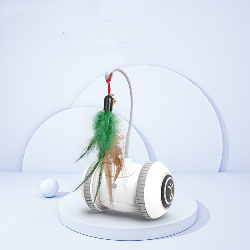 FeatherPlay Interactive Toy