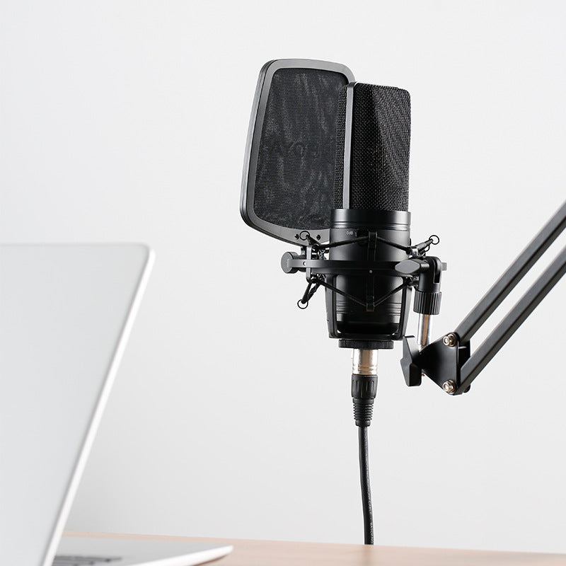 Large Diaphragm Condenser Microphone for K-Song and Computer Use