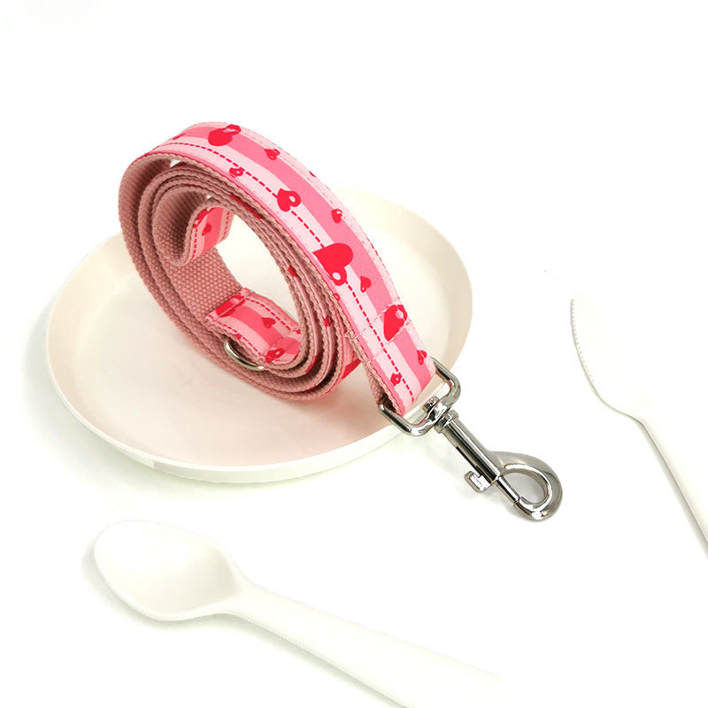 UrbanPaws Collar & Leash Duo