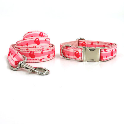 UrbanPaws Collar & Leash Duo