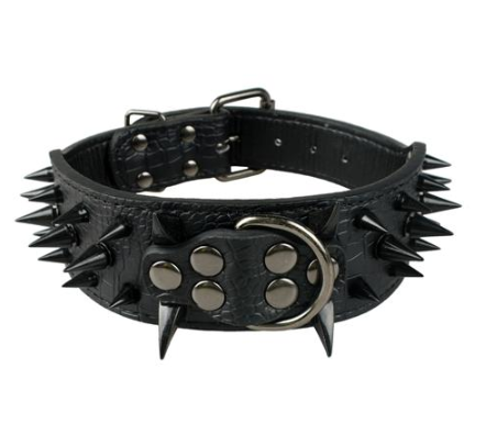 IronPaw Spike Leather Collar