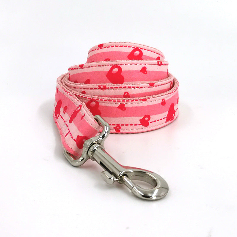 UrbanPaws Collar & Leash Duo