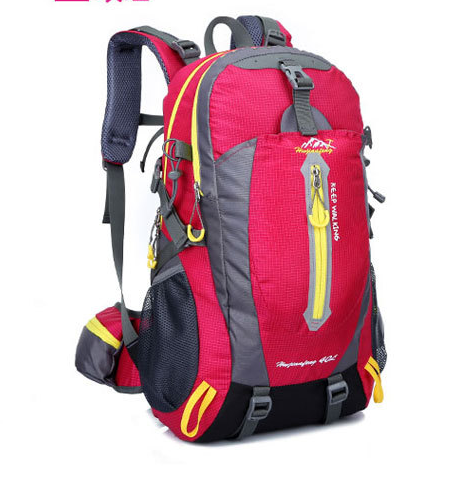 TrailBlaze Hiking Backpack