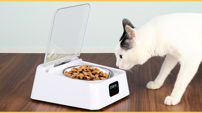 SmartPaw MoistureGuard Feeder